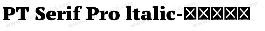 PT Serif Pro ltalic字体转换
